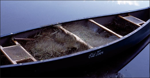 典型丰收日结束时的独木舟，装有6蒲式耳共140磅（64公斤）的绿色稻米。这堆稻米是我们所说的”绿色毛茸怪”。