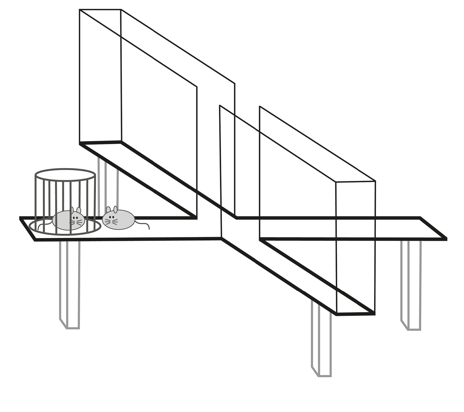 两只小鼠在迷宫中面对面的插图。一只在笼子里，另一只在笼子外。