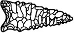 书名