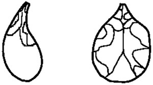 书名